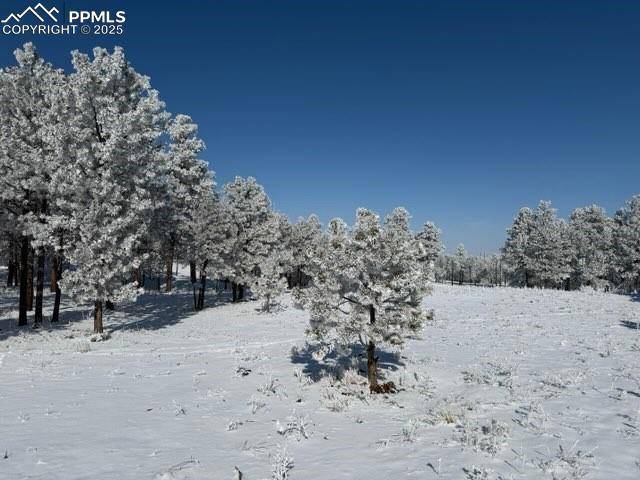 Colorado Springs, CO 80908,12196 Goodson RD
