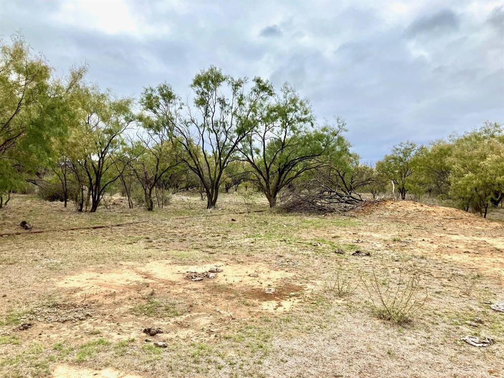Moran, TX 76464,TBD 100AC Hwy 6