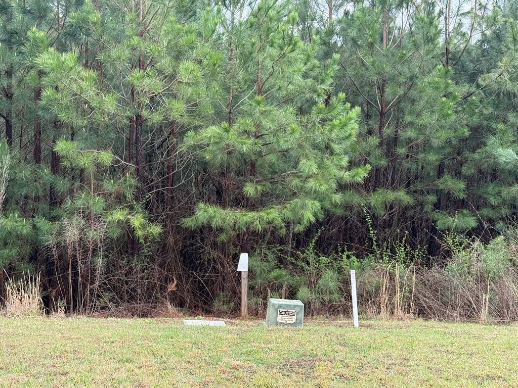 Blairsville, GA 30512,Lot 228 The Cove @ 1300