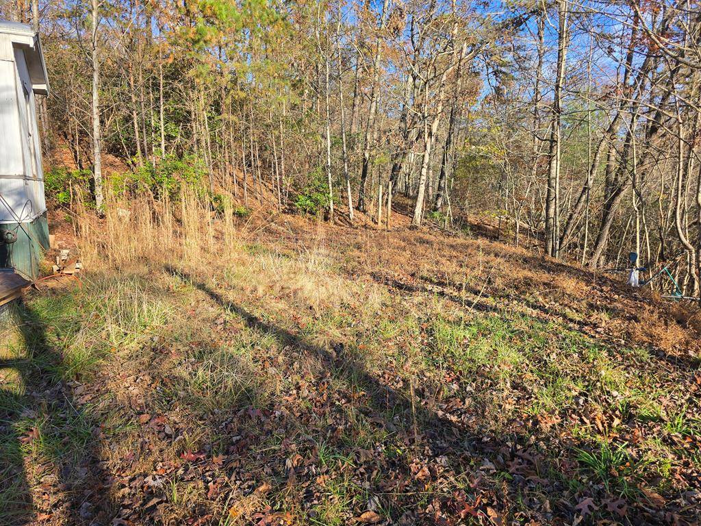 Hiawassee, GA 30546,4730 LAUREL MOUNTAIN RD
