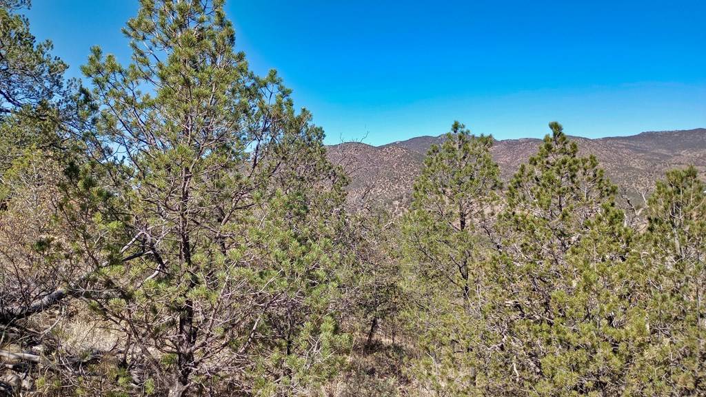 Fort Davis, TX 79734,217 Squaw Valley TRL