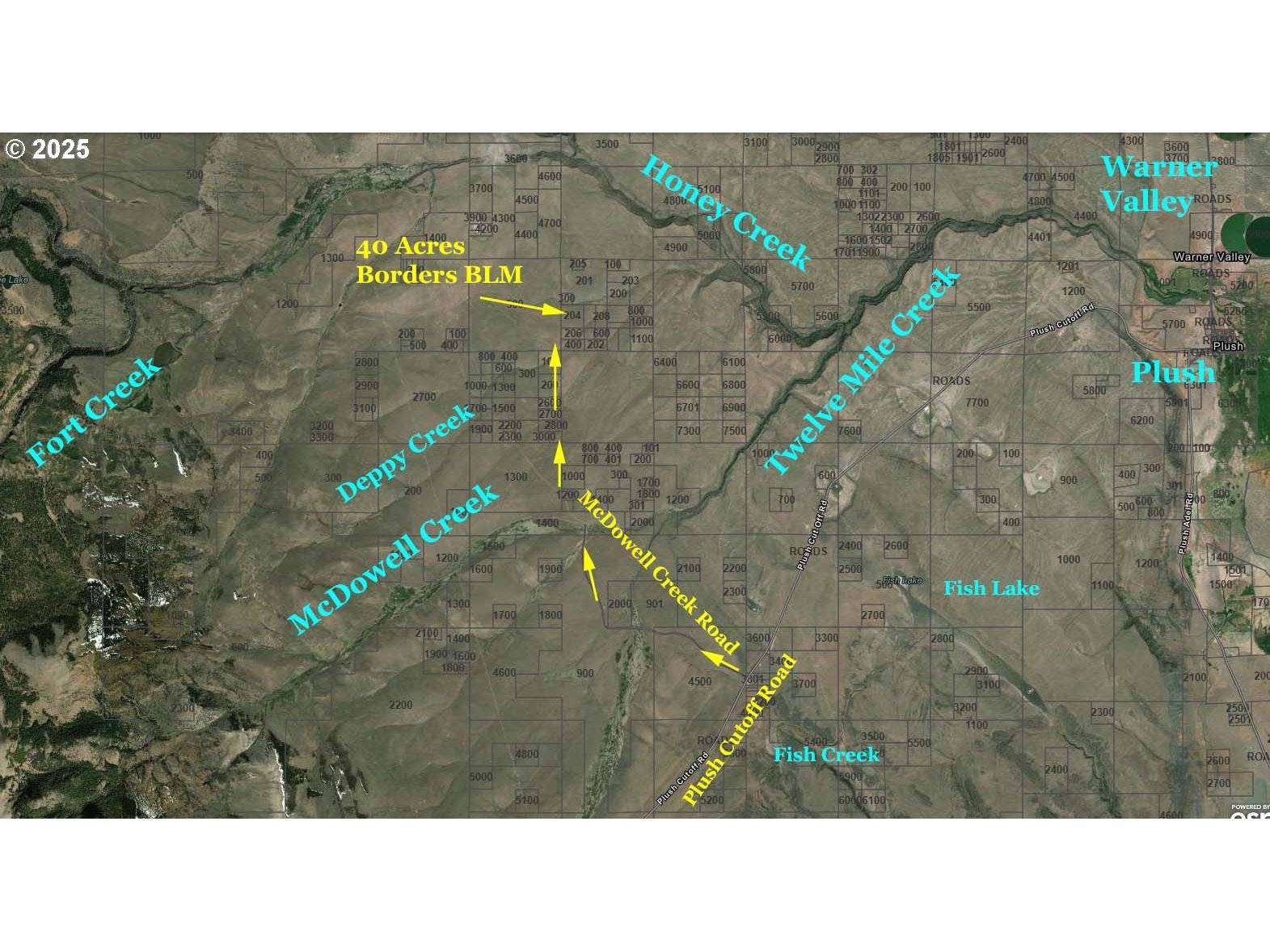 Plush, OR 97637,McDowell Creek RD #TL 204