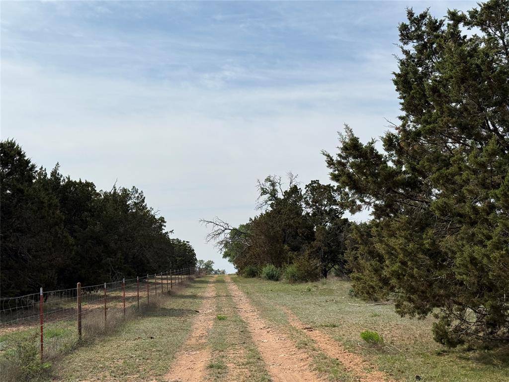 Goldthwaite, TX 76844,60 S County Road 411