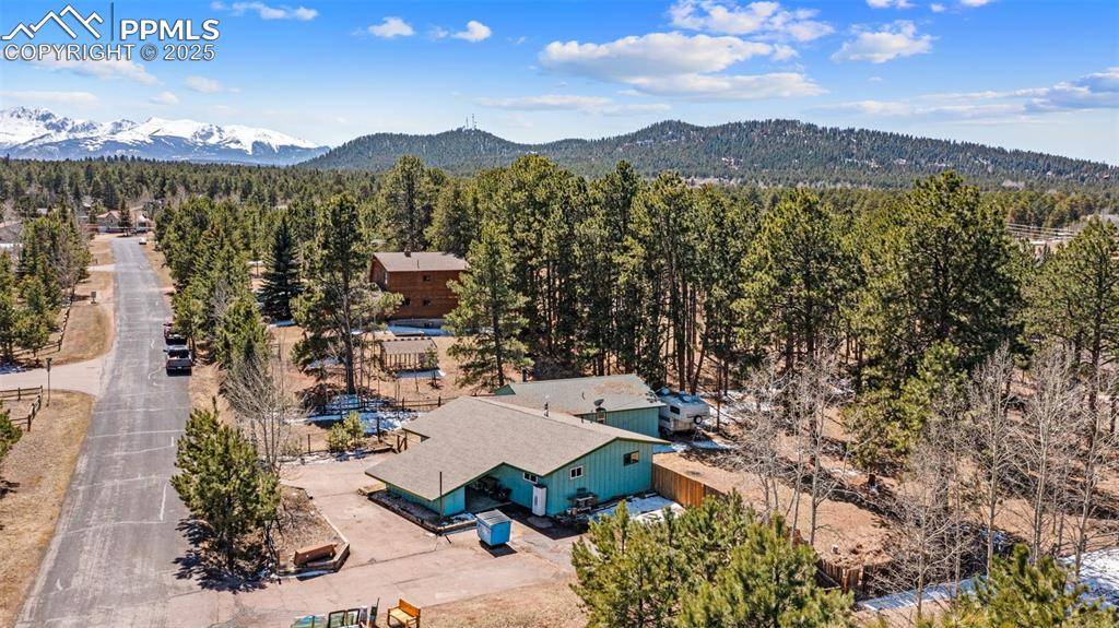 Woodland Park, CO 80863,1250 Chippewa TRL