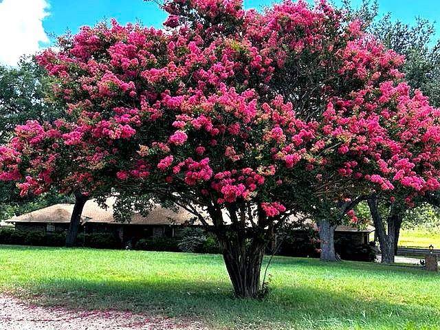 Hamilton, TX 76531,1348 County Road 203