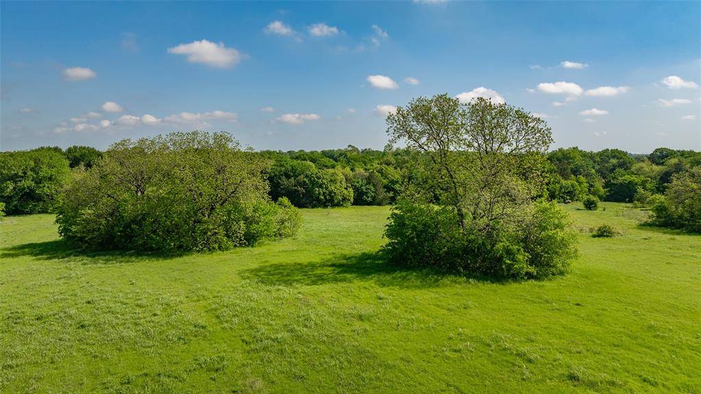 Whitesboro, TX 76273,32 Acres CR 167