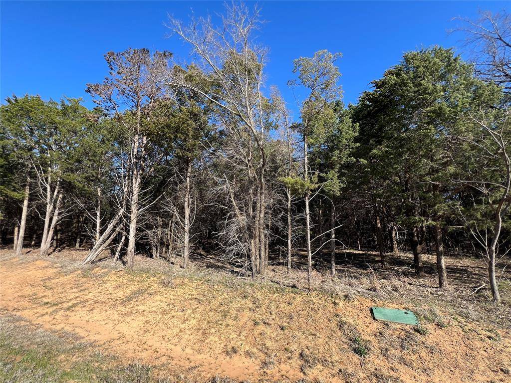 Gordonville, TX 76245,162 Pine Hills Lane
