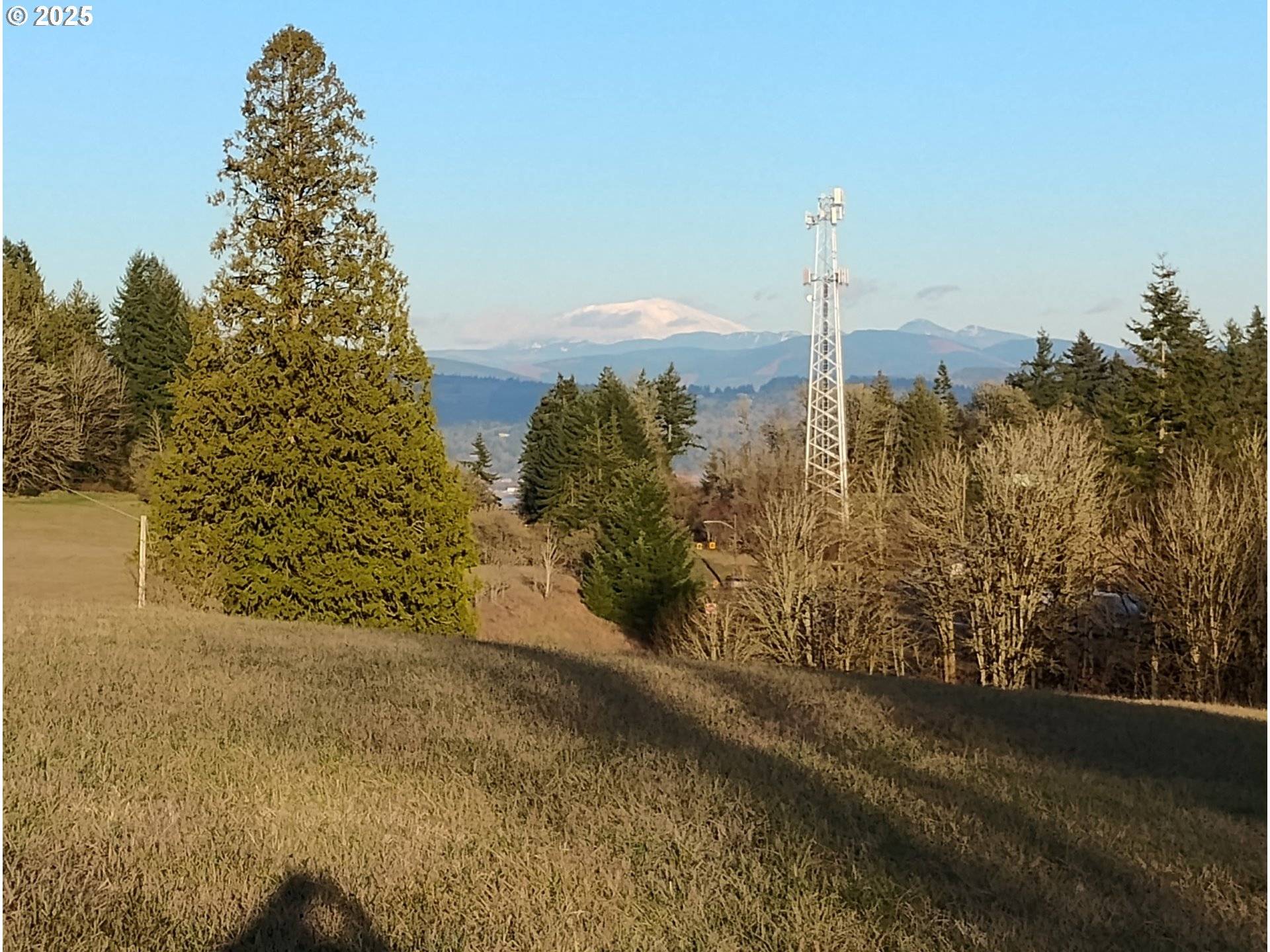 Rainier, OR 97048,Wonderly RD #1