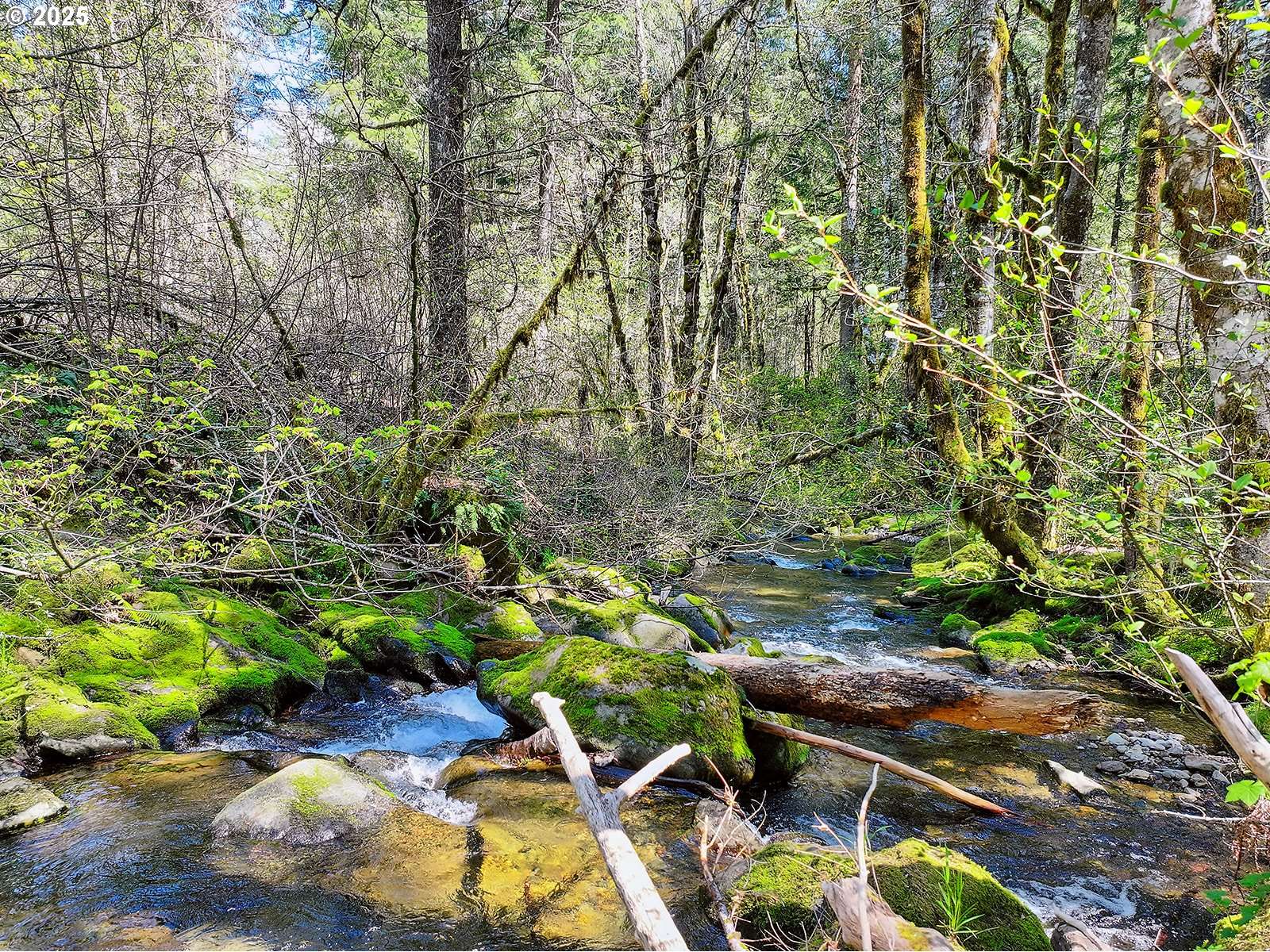 Carson, WA 98610,Foster RD