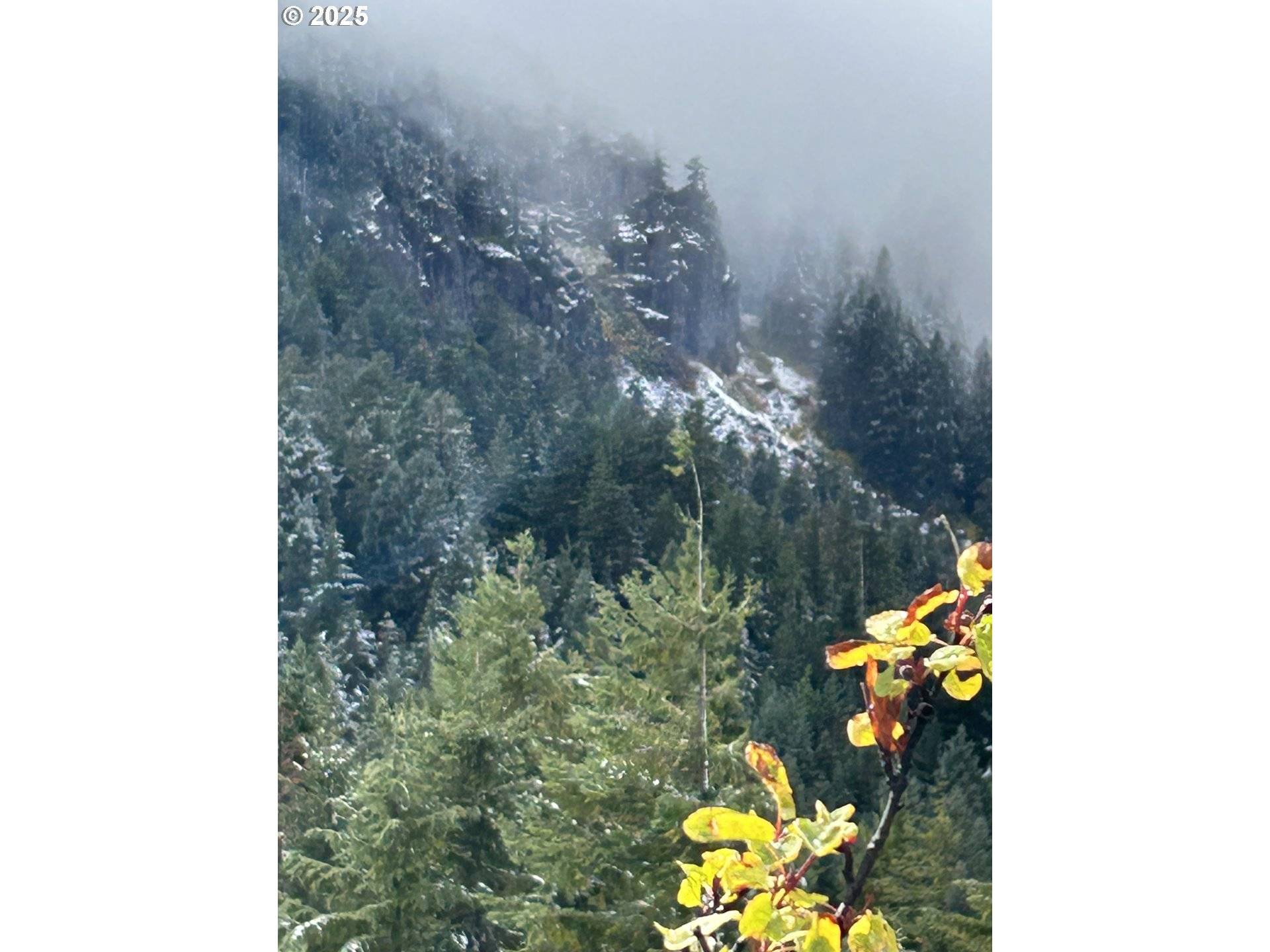Sweet Home, OR 97386,0 CALAPOOIA RD