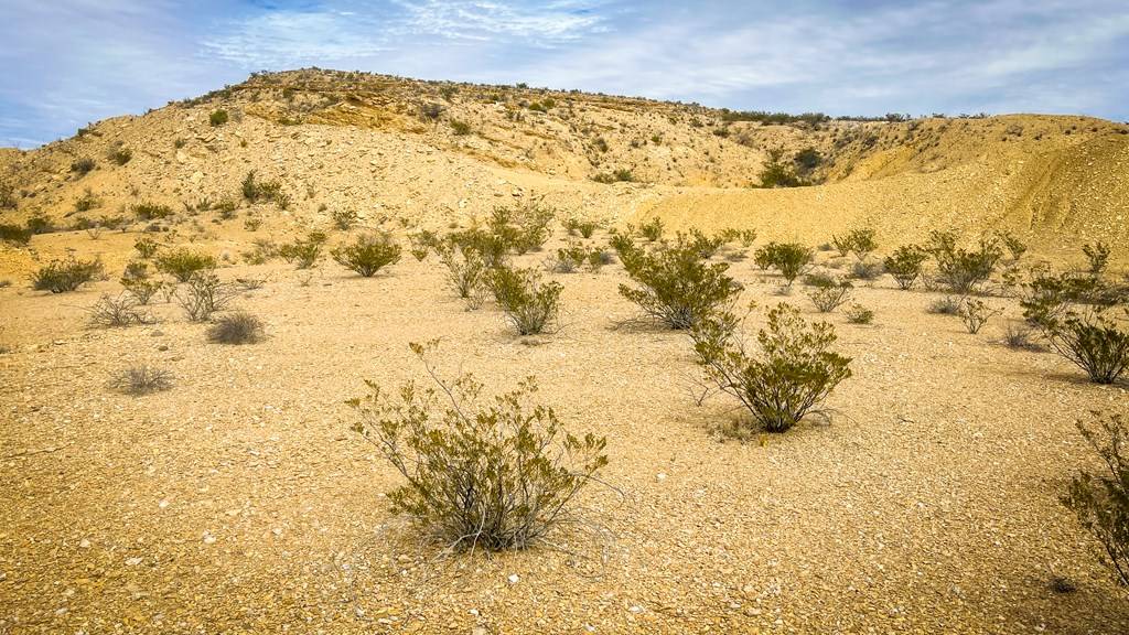 Terlingua, TX 79852,201 S Rodriguez Rd.