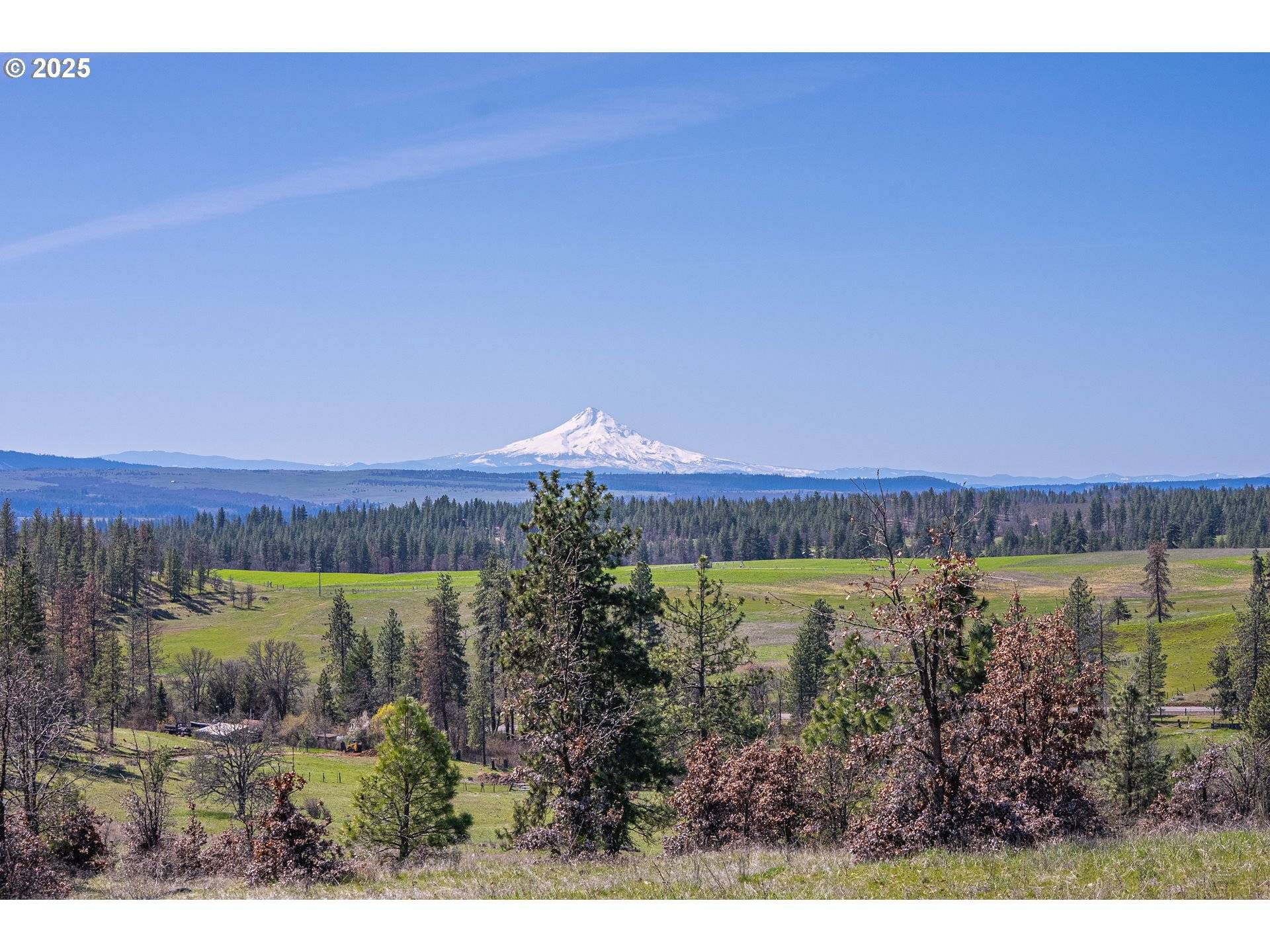 Goldendale, WA 98620,40 MOUNTAINSCAPE CIR