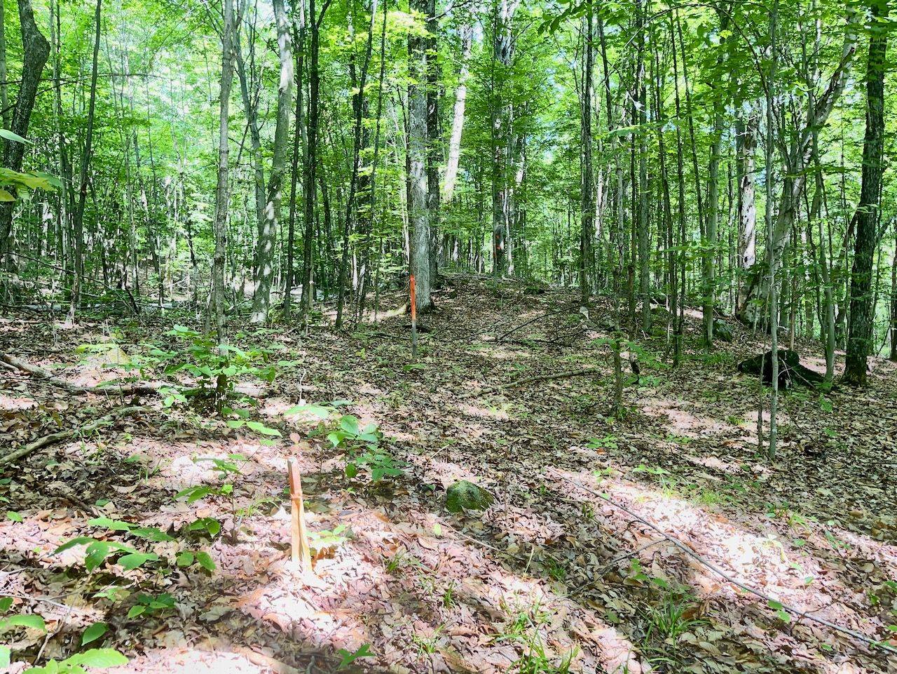 Minden Hills, ON K0M 2K0,PTLT 14 SILVERWOOD RD