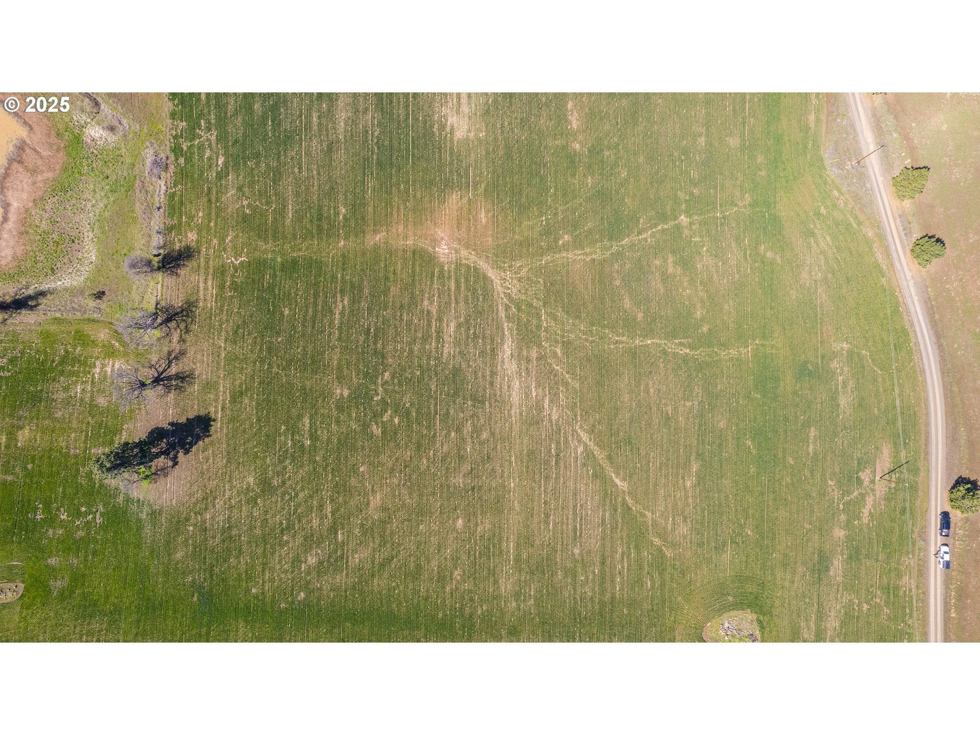 Goldendale, WA 98620,14 MOUNTAINSCAPE CIR