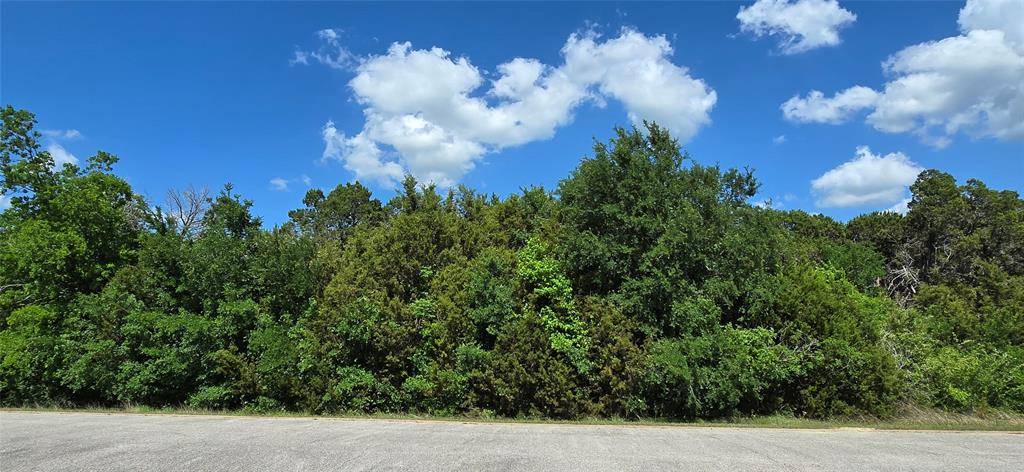 Cleburne, TX 76033,7721 Prestwick Drive