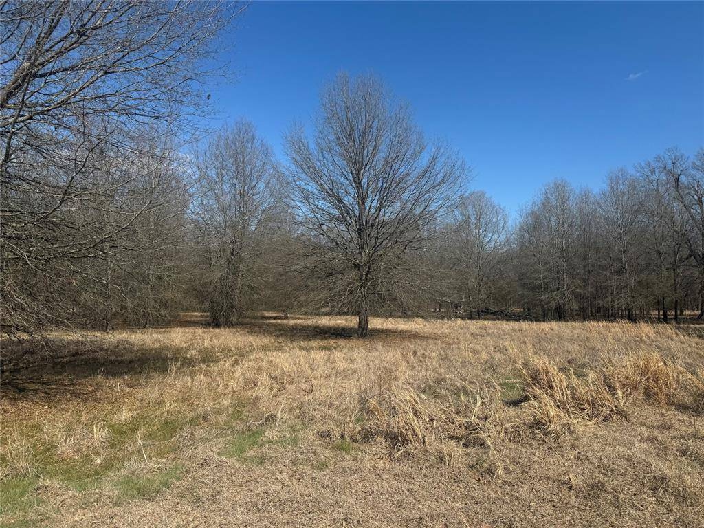 Blossom, TX 75416,TBD PR 44005