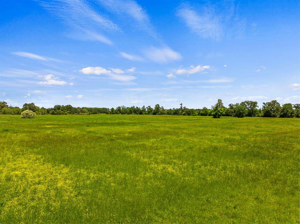 New Boston, TX 75570,tbd cr 4104/4103 cr 4104