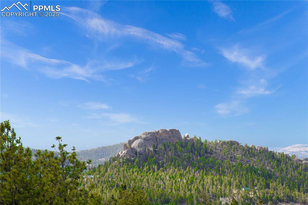 Florissant, CO 80816,28 Pinnacle CIR