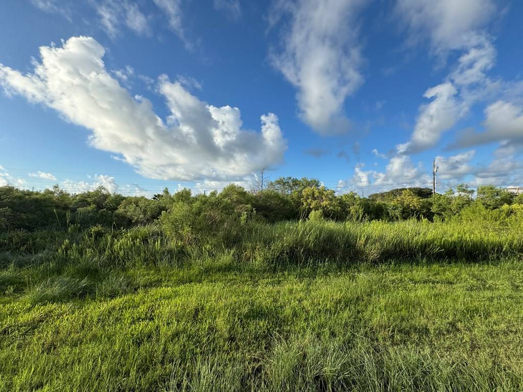 Rockport(holiday Beach), TX 78382,311 & 312 W Misty Oak Lane