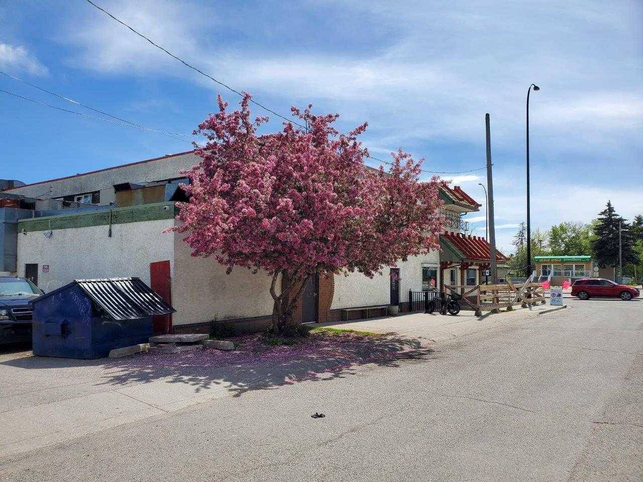 Calgary, AB T2A 0T6,4402 17 AVE SE