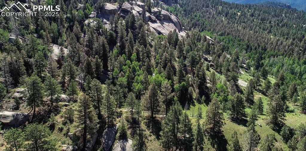 Florissant, CO 80816,235 Hay Creek RD