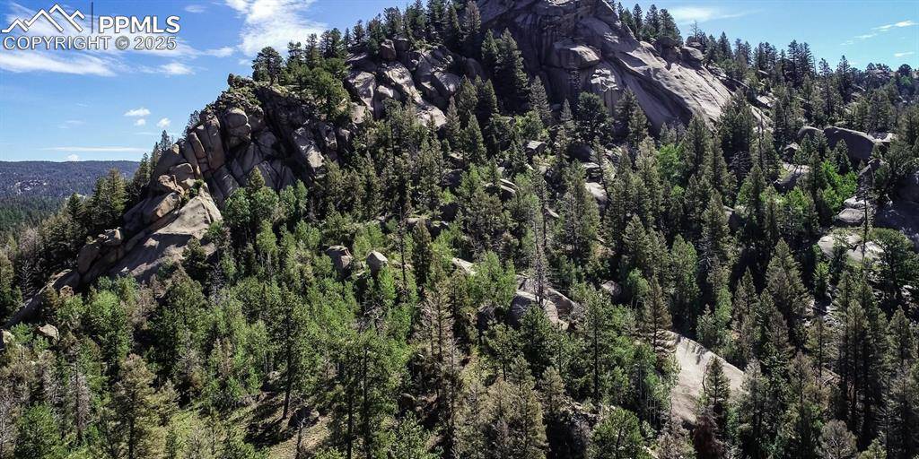 Florissant, CO 80816,235 Hay Creek RD
