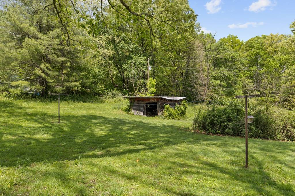 Blue Ridge, GA 30513,7255 Blue Ridge Drive