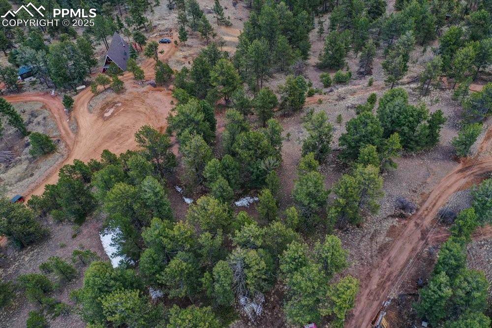 Cripple Creek, CO 80813,102 Blue Bell CIR