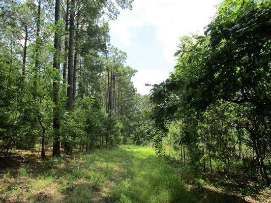 Avery, TX 75554,000 Farm To Market 114