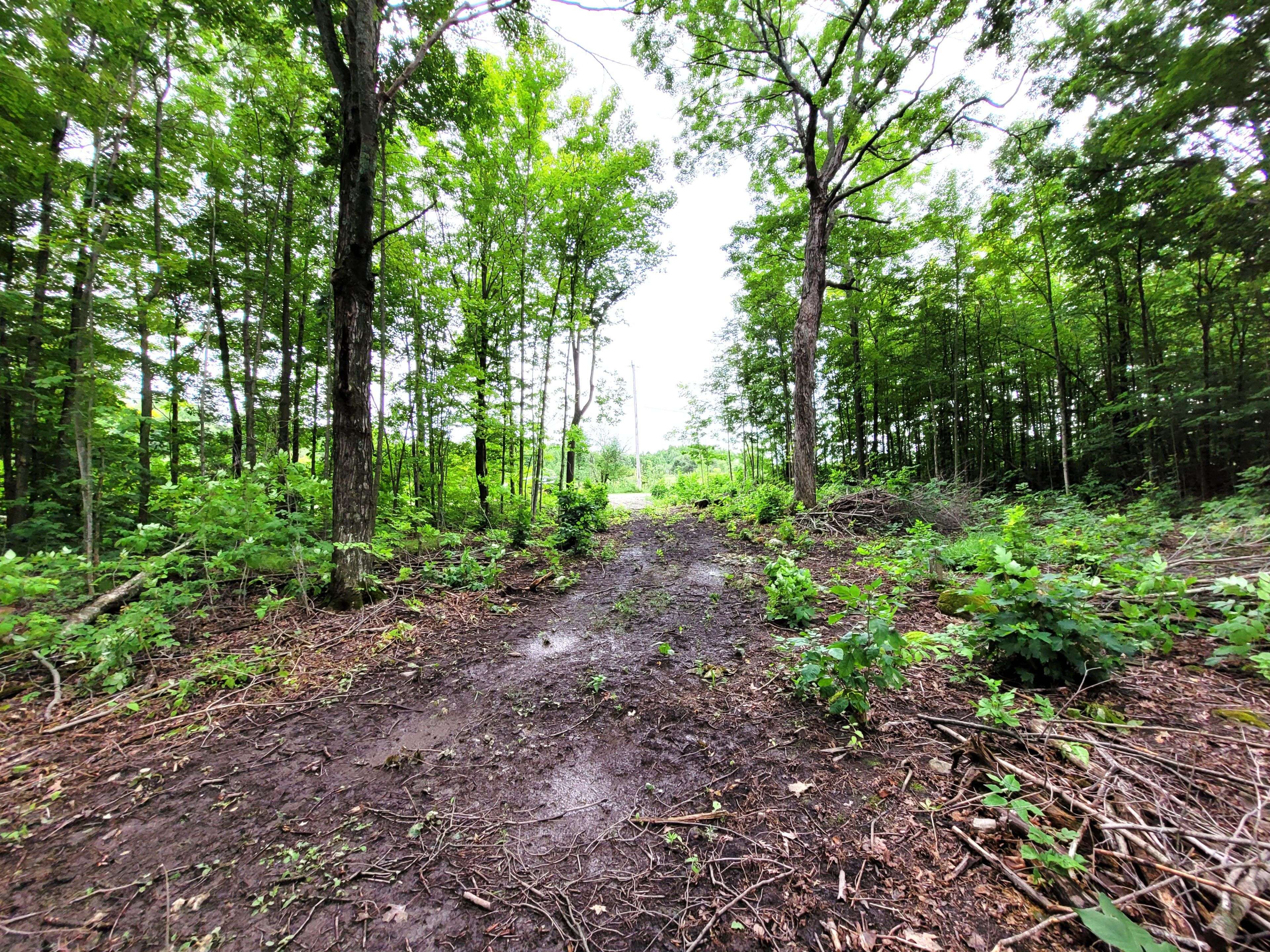 Stirling-rawdon, ON K0K 3E0,0 Spry RD