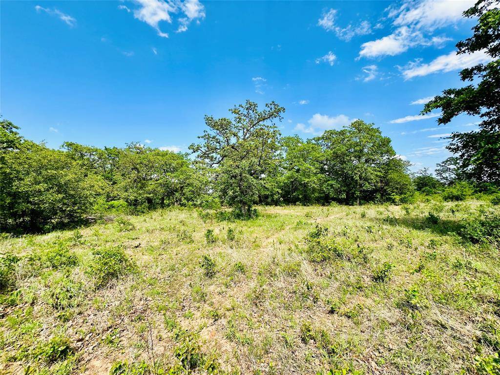 Cross Plains, TX 76443,TBD Cr 429