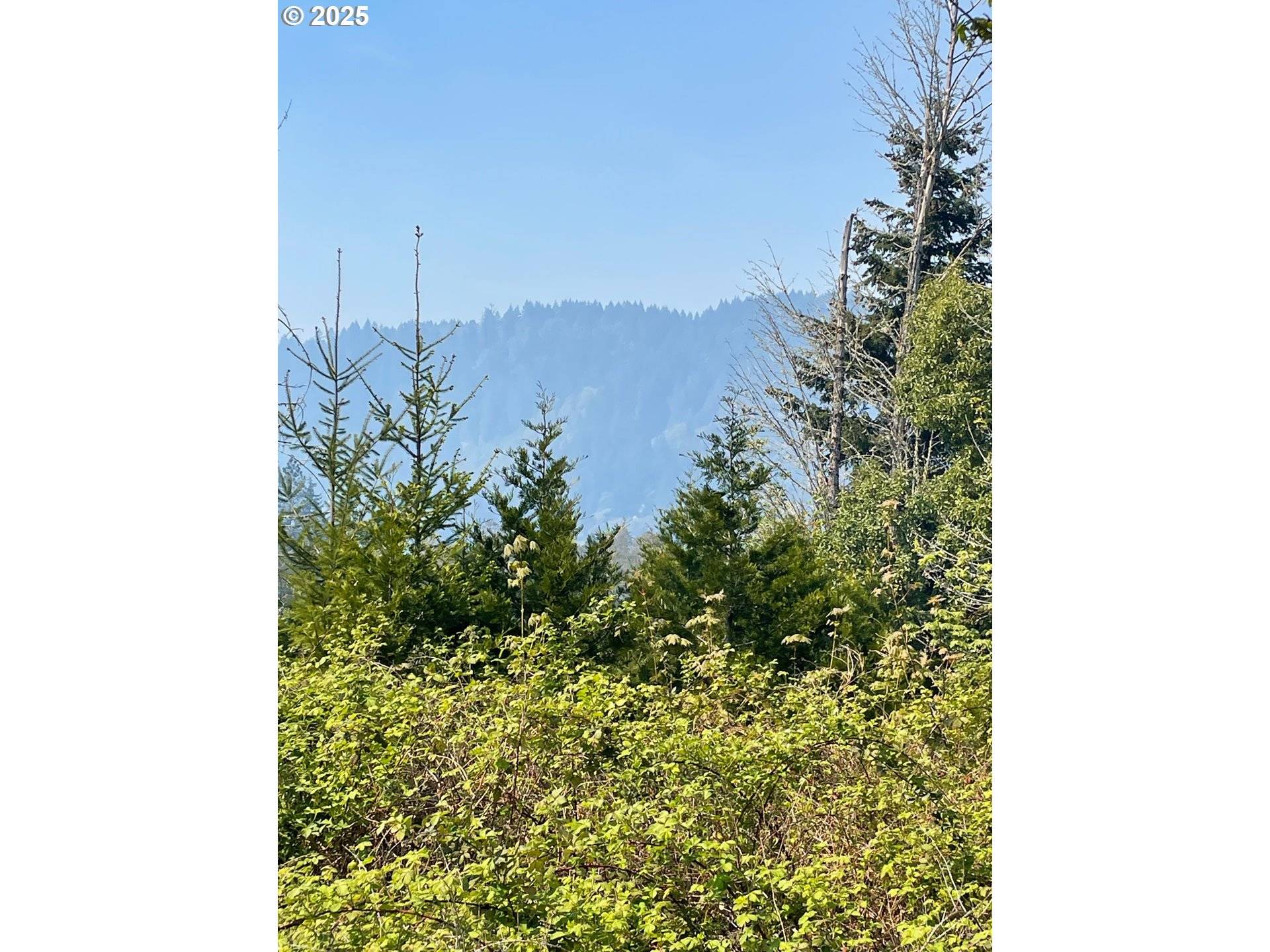 Oakridge, OR 97463,48522 SIX POINT DR