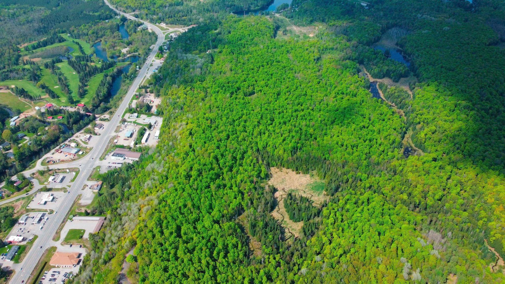 Minden Hills, ON K0M 2K0,1062 COUNTY ROAD 21 N/A