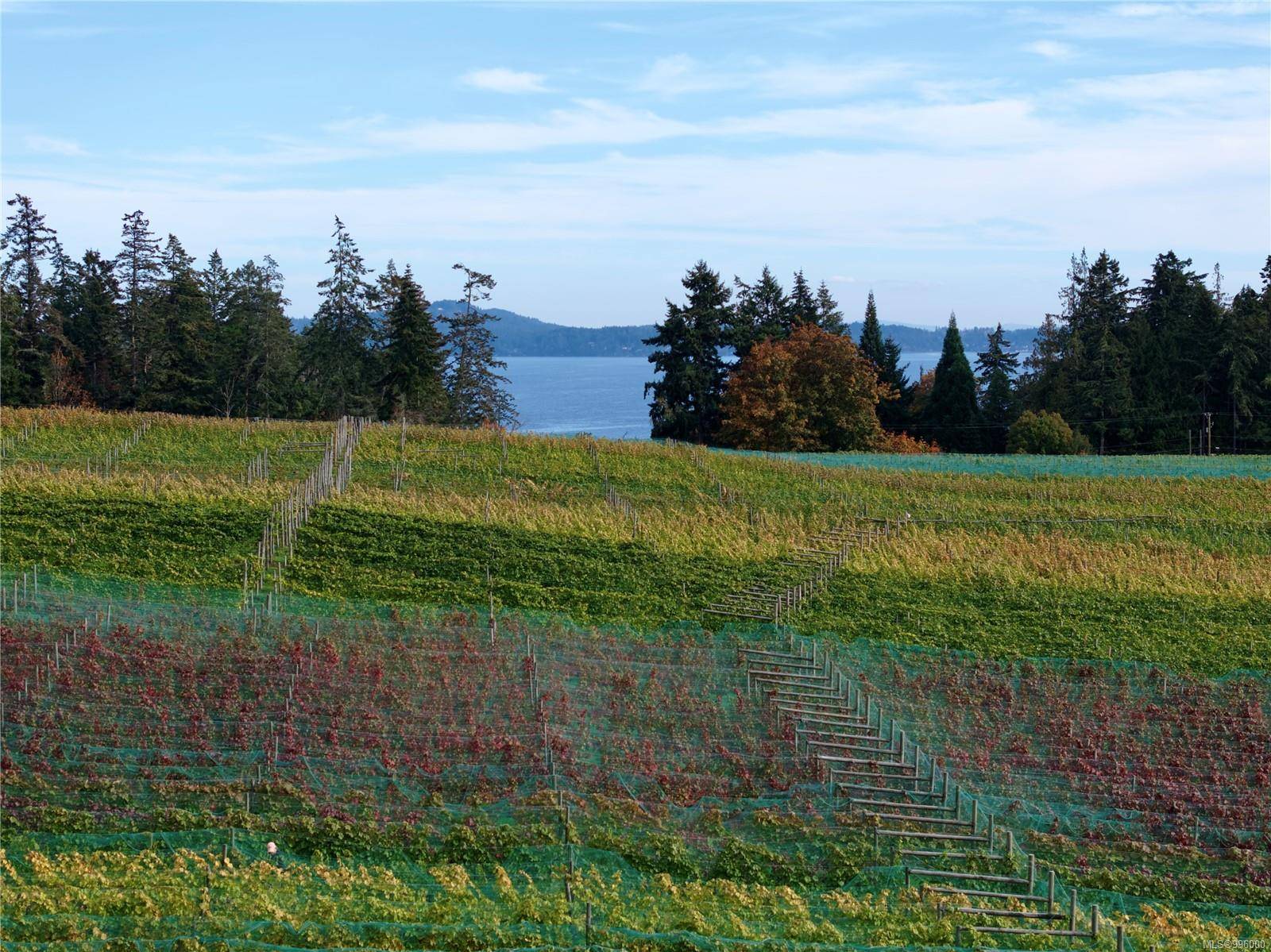 Cobble Hill, BC V0R 1L3,840 Cherry Point Rd