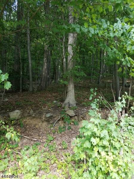 Randolph Twp., NJ 07869,1128 ROUTE 10
