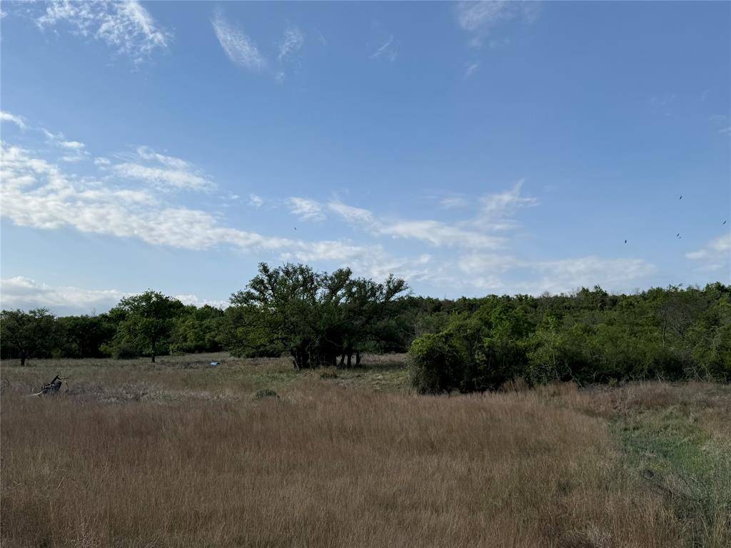 Hamilton, TX 76531,Tract 21 Indian Spring