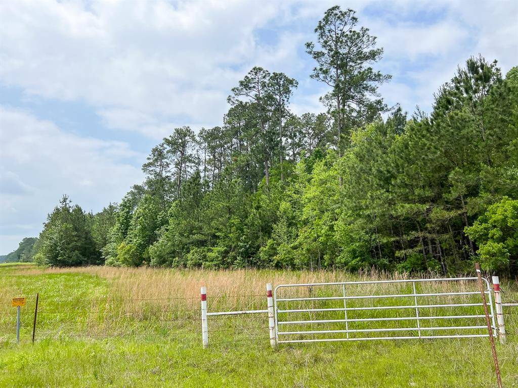 Silsbee, TX 77656,0 FM 2937/Old Arco Road