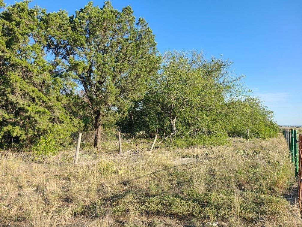 Hamilton, TX 76531,TBD CR 406