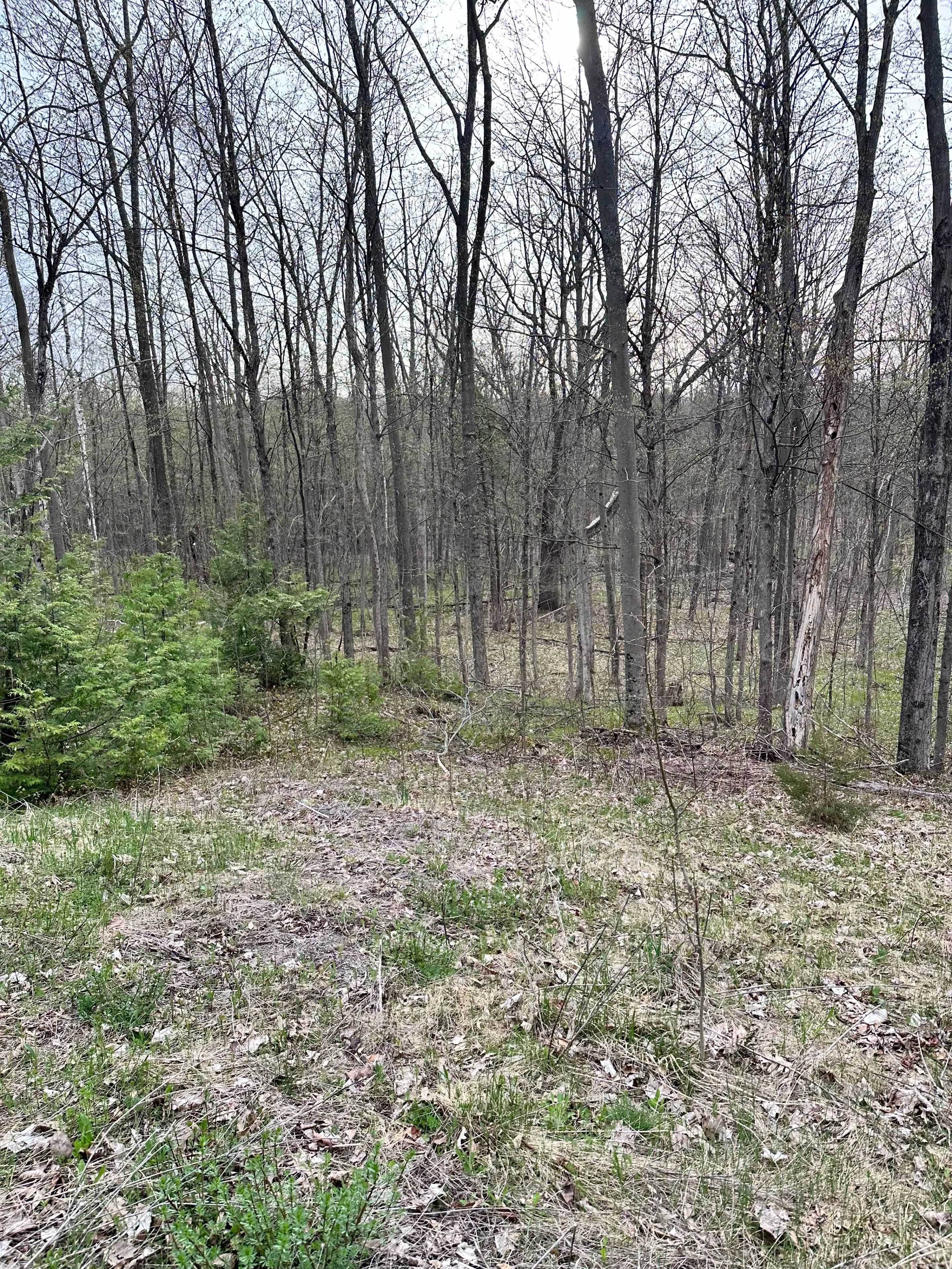 Trent Hills, ON K0L 1Y0,62 Trent View DR