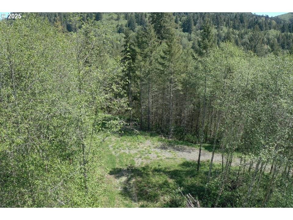 Yacolt, WA 98675,0 NE Elliott RD #53