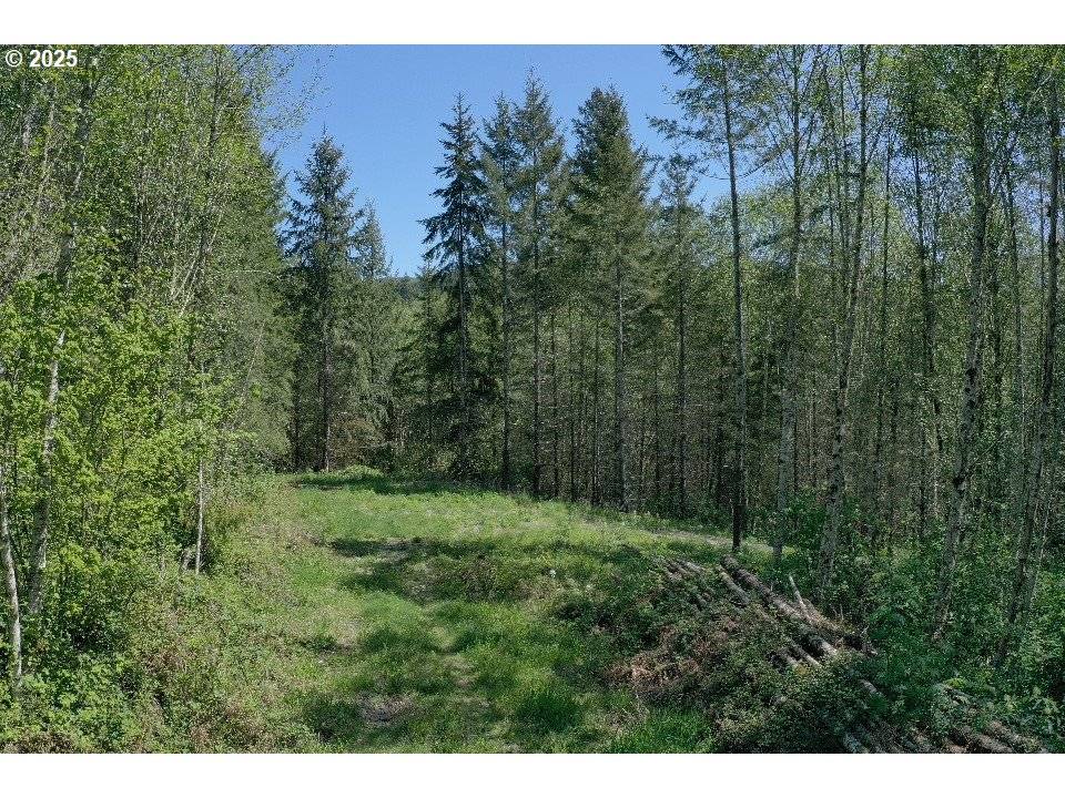 Battle Ground, WA 98604,0 W Main ST