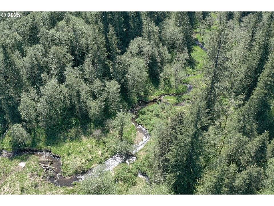 Yacolt, WA 98675,0 NE Elliott RD #65