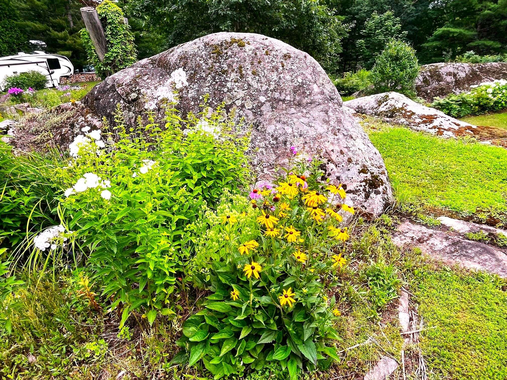 Kawartha Lakes, ON L0K 2B0,20 Black River RD