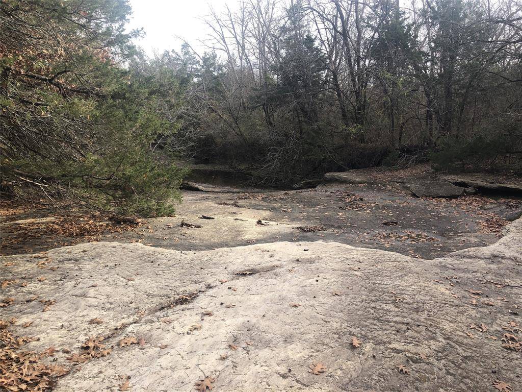 Honey Grove, TX 75446,Tract 6 County Road 24900 Road