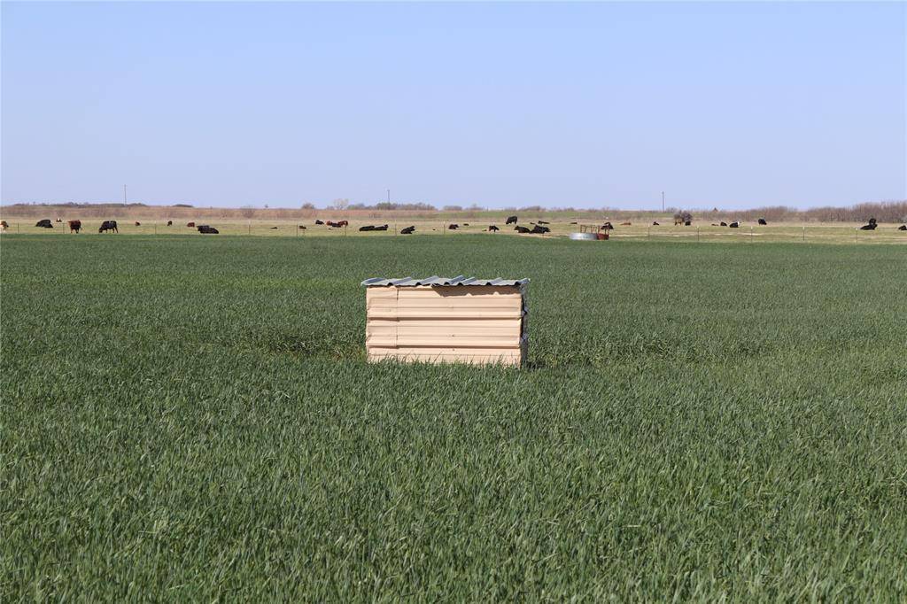 Henrietta, TX 76365,293 Acres Deer Creek Rd