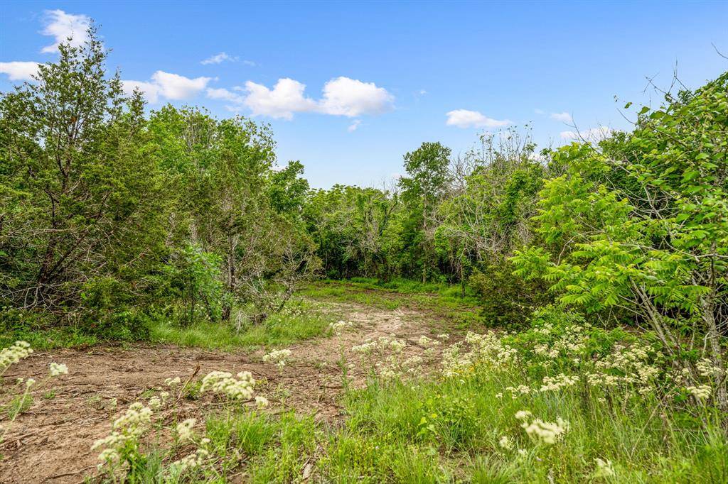 Hico, TX 76457,6265 County Road 208