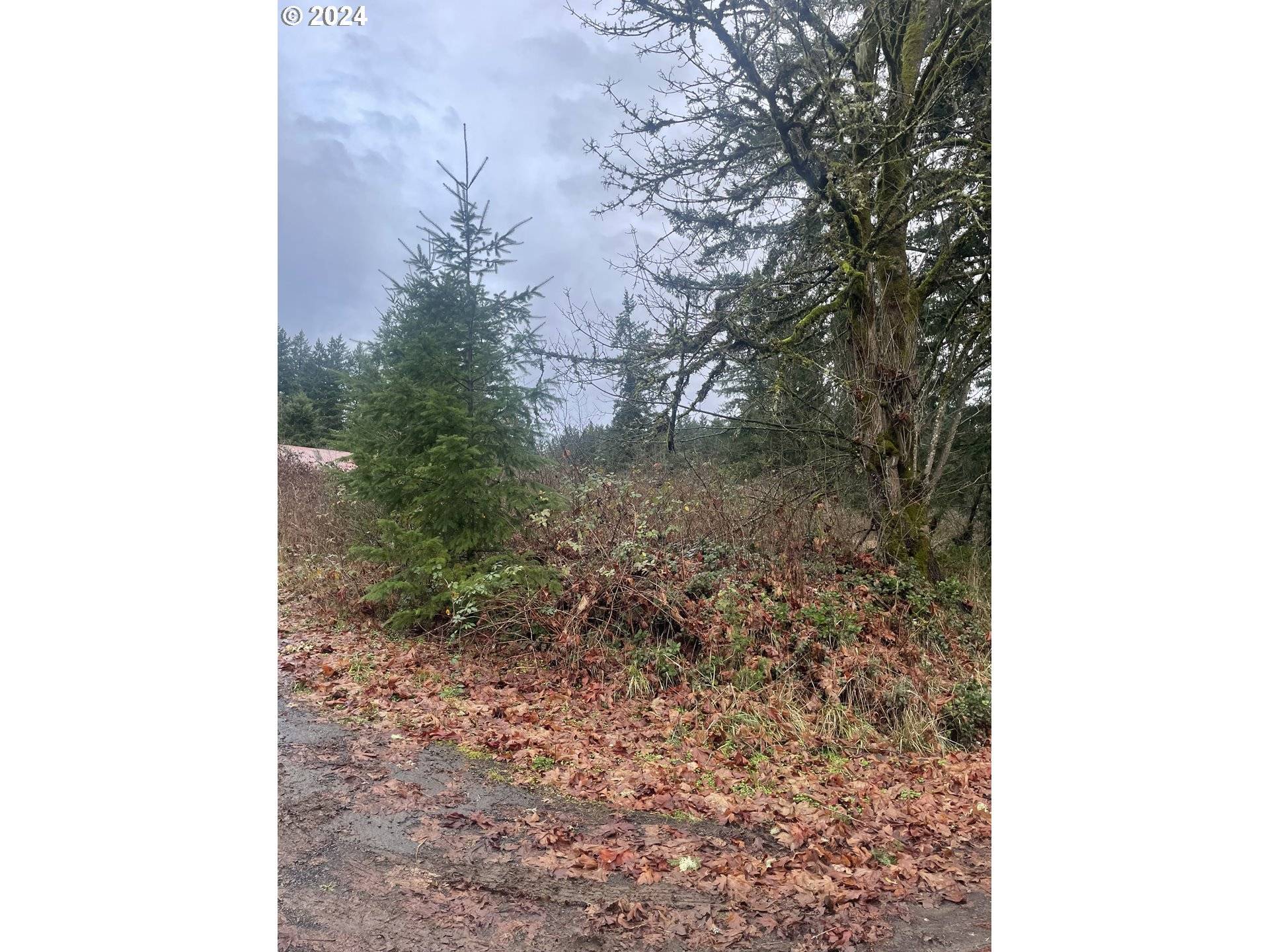 Estacada, OR 97023,20800 S MATTOON RD