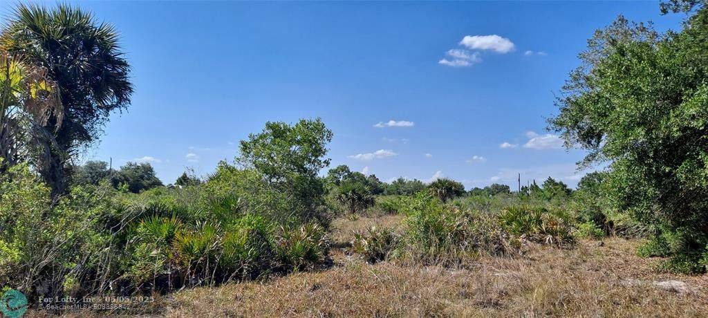 Okeechobee, FL 34972,17537 NW 262nd St