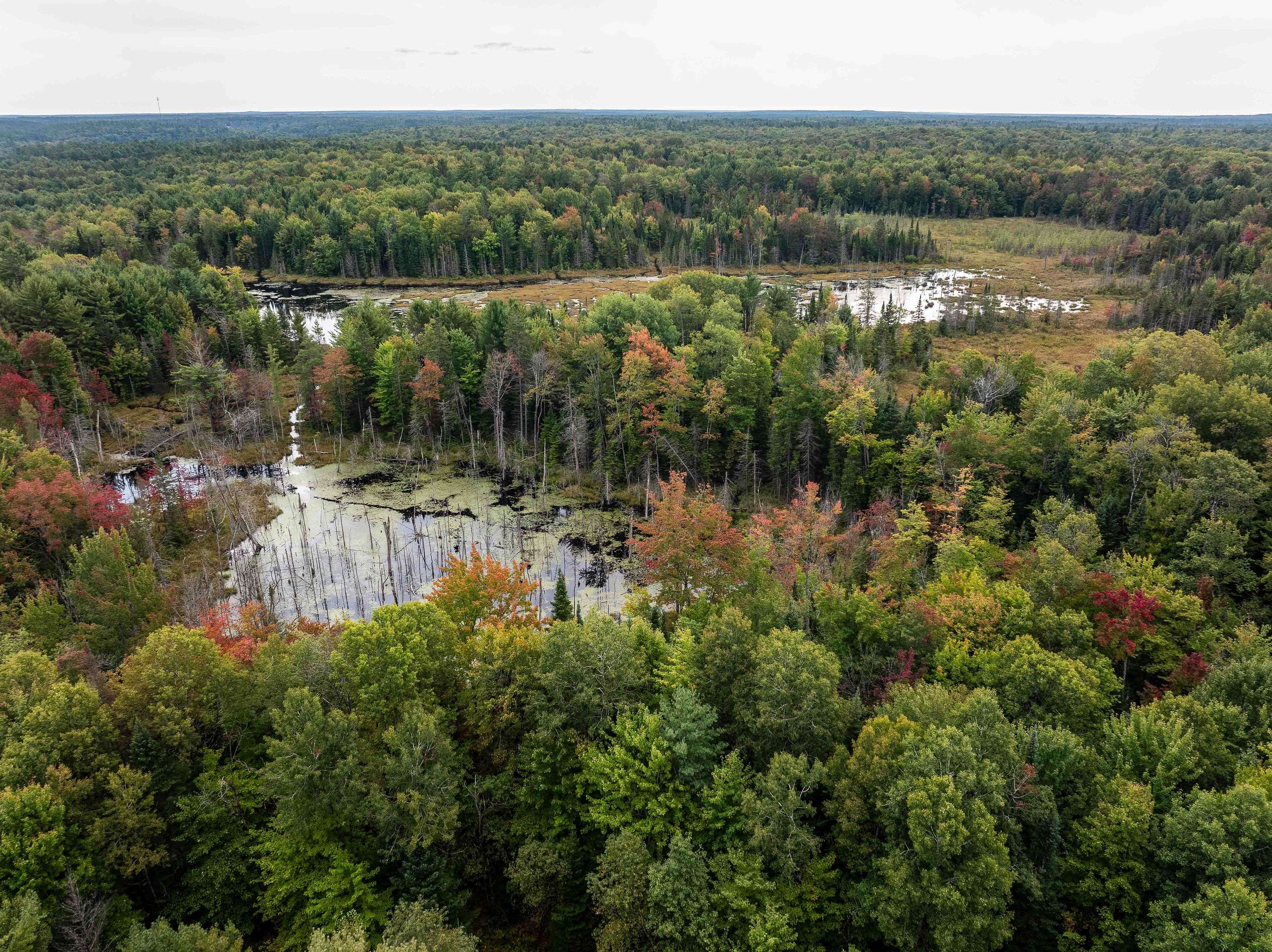 Minden Hills, ON K0M 2K0,4729 County Road 121 N/A