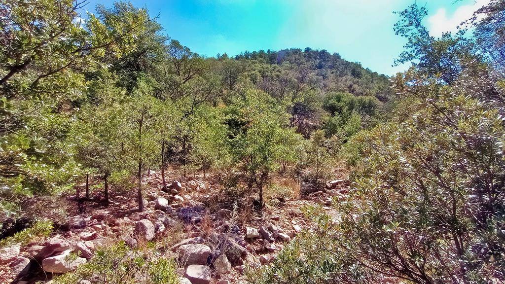 Fort Davis, TX 79734,311 Colleen Canyon TRL